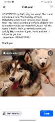 Lost Male Dog last seen Waterfalls subdivision, Irmo, SC 29063