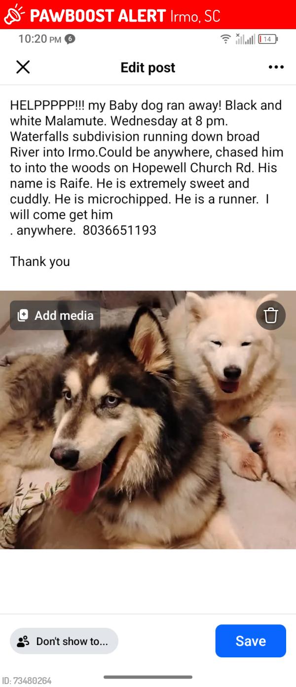 Lost Male Dog last seen Waterfalls subdivision, Irmo, SC 29063