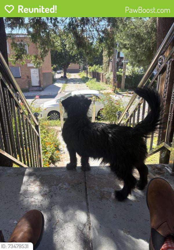 Reunited Male Dog last seen Yorktown, Philadelphia, PA 19122