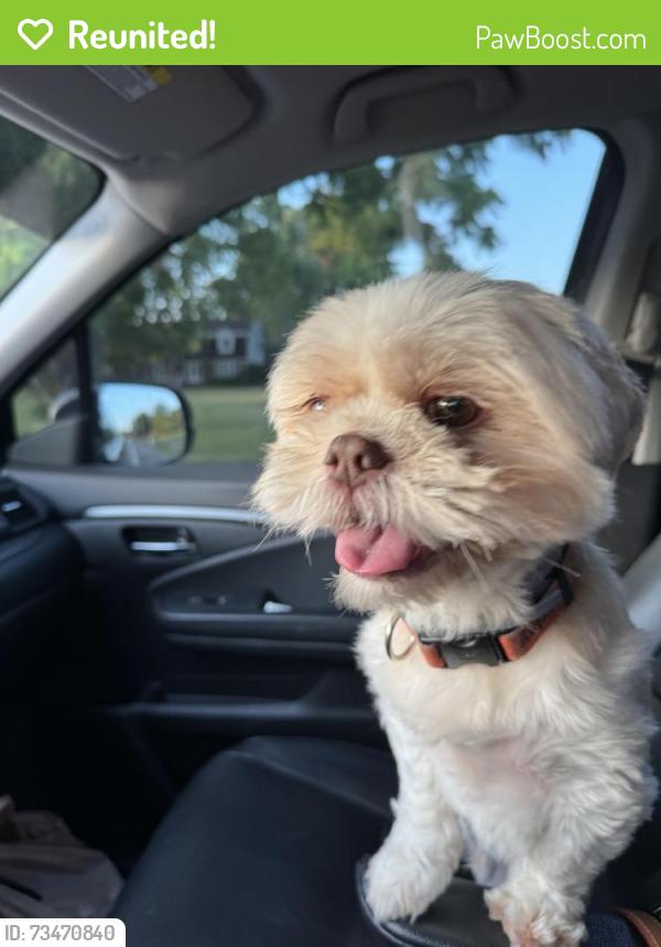 Reunited Male Dog last seen Broad St and Middle TN, Murfreesboro, TN 37132