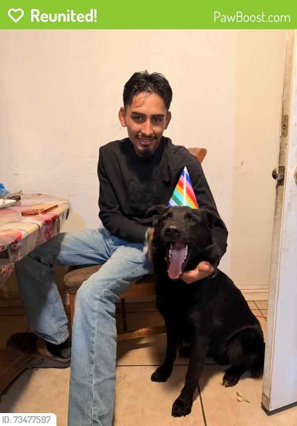 Reunited Male Dog last seen Marshell, Perris, CA 92570