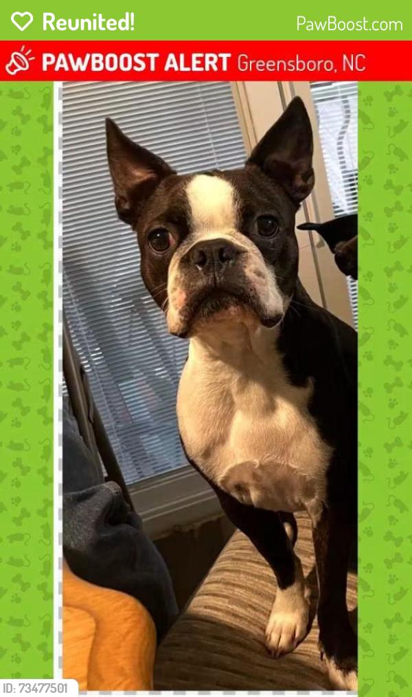 Reunited Male Dog last seen McConnell and millstream road, Greensboro, NC 27406