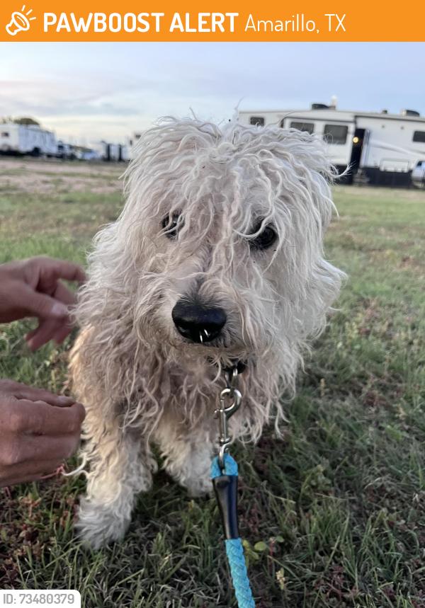 Found/Stray Male Dog last seen In the RV Park, Amarillo, TX 79118
