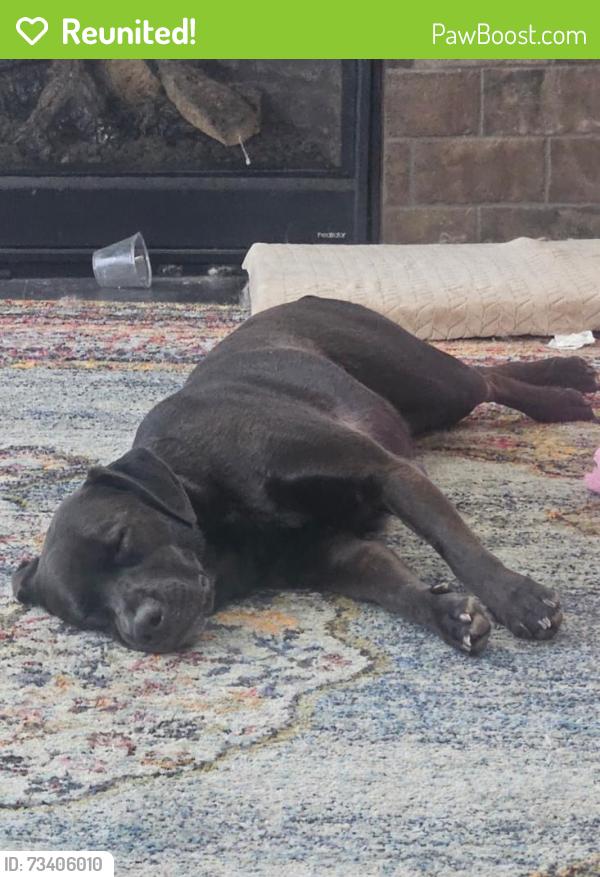 Reunited Male Dog last seen Kennedy Park, Westminster, CO 80030