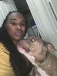 Reunited Female Dog last seen Northcrest heading towards Hofius Middle School, Spring, TX 77389