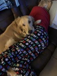 Reunited Male Dog last seen Anthony St, Hernando, FL 34442