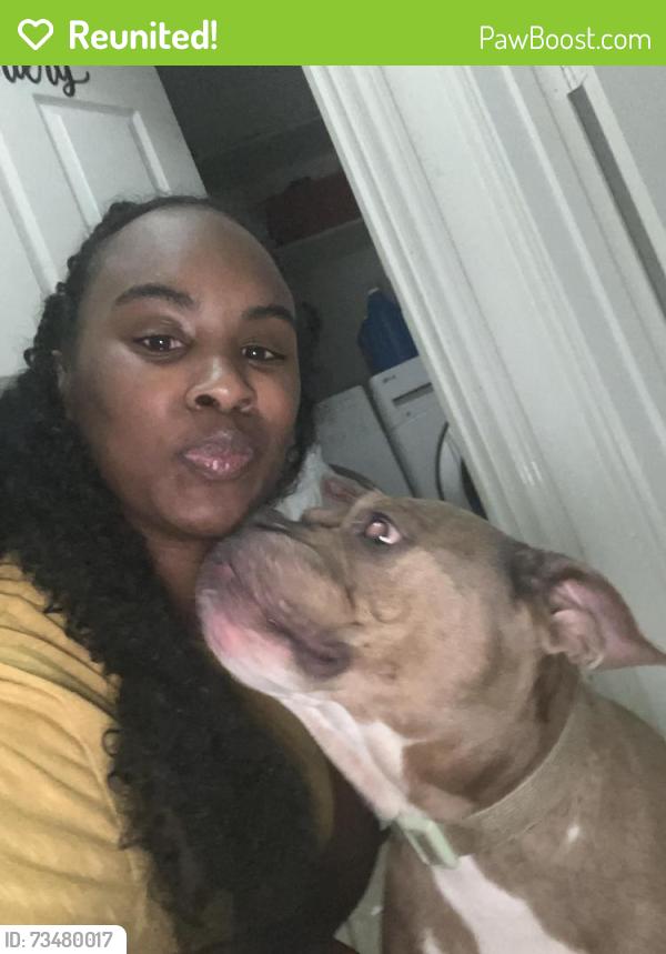 Reunited Female Dog last seen Northcrest heading towards Hofius Middle School, Spring, TX 77389