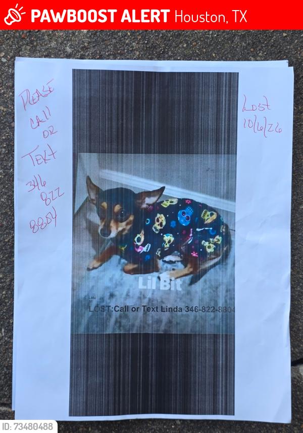 Lost Female Dog last seen Saturn and Gemini, Houston, TX 77058