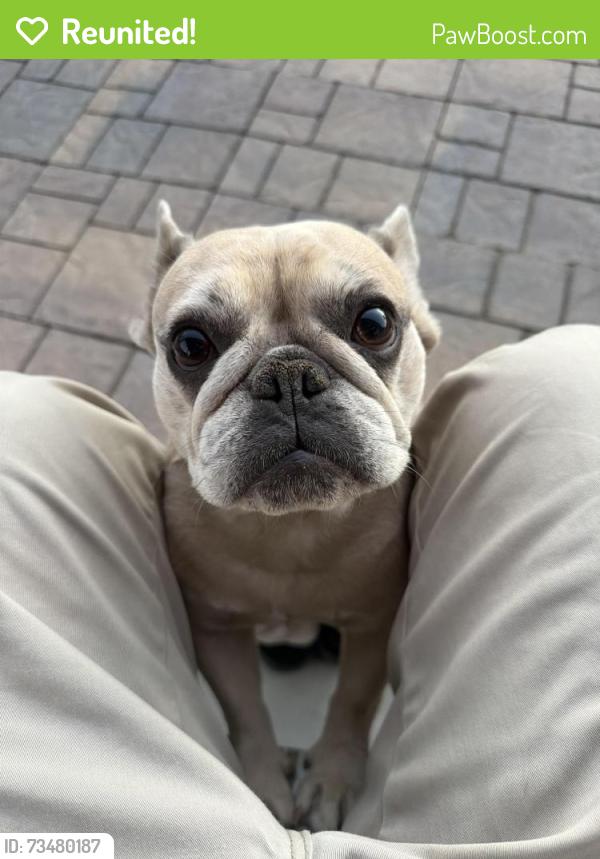 Reunited Female Dog last seen Buzz Aldrin Dr, Las Vegas, NV 89149, USA, Las Vegas, NV 89149