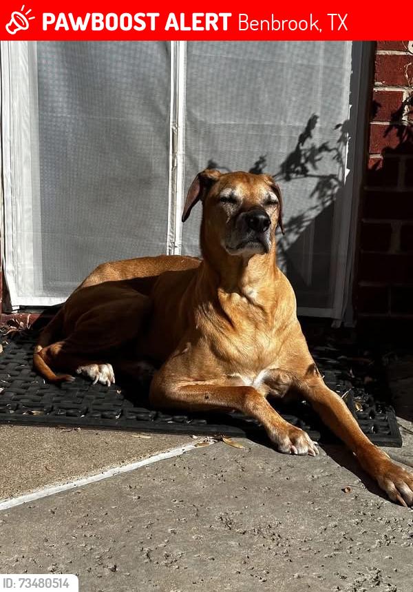 Lost Male Dog last seen Trinity ests Benbrook TX, Benbrook, TX 76126