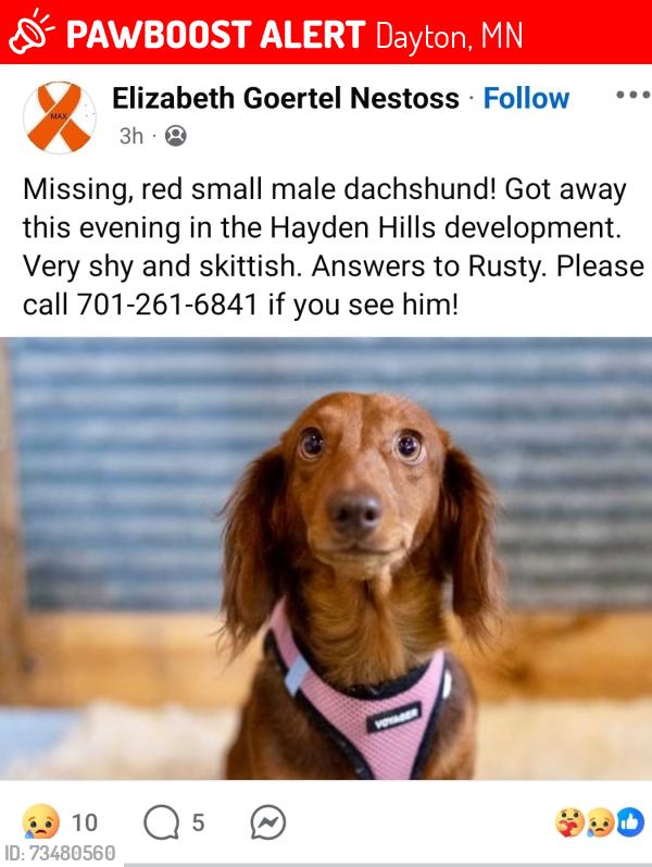 Lost Male Dog last seen Hayden Hills Development, Dayton, MN 55327