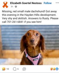 Lost Male Dog last seen Hayden Hills Development, Dayton, MN 55327