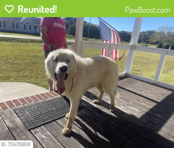 Reunited Unknown Dog last seen Campbell university, Buies Creek, NC 27546