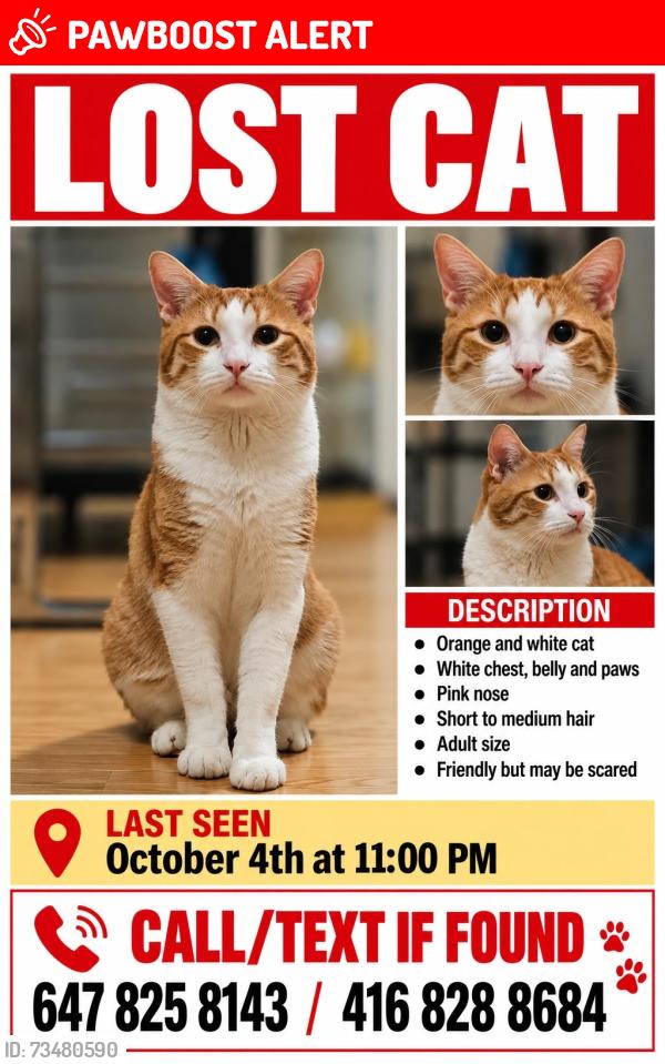 Lost Male Cat last seen Riverbend Estates, Otonabee-South Monaghan, ON K9J 0K7