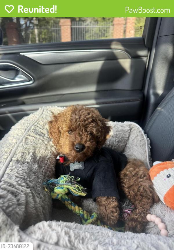 Reunited Male Dog last seen Near copper Dr, DeSoto, TX 75115
