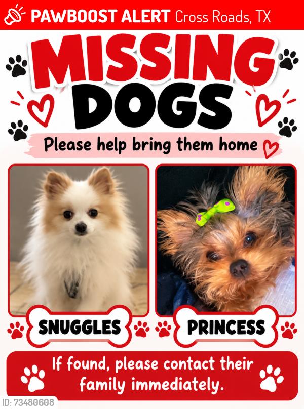 Lost Male Dog last seen Drifter street, Cross Roads, TX 76227