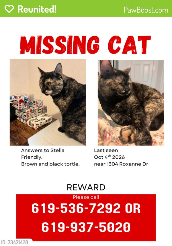 Reunited Female Cat last seen The Pumpkin Patch near Vulcant St, El Cajon, CA 92021