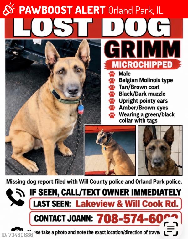 Lost Male Dog last seen 133rd and will cook road, Orland Park, IL 60467