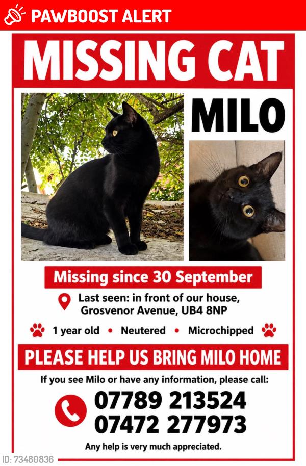 Lost Male Cat last seen UB4 8NP, Greater London, England UB4 8NP
