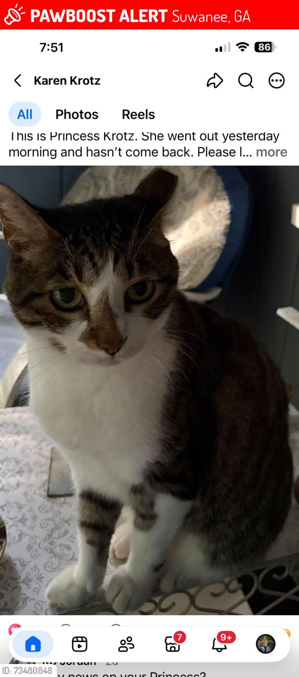 Lost Female Cat last seen Buford highway, Suwanee, GA 30024