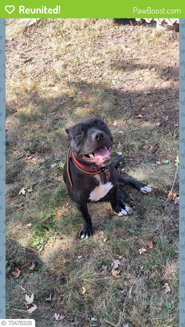 Reunited Male Dog last seen Near Hoyt Ave E, St Paul, MN 55106, USA, Saint Paul, MN 55106