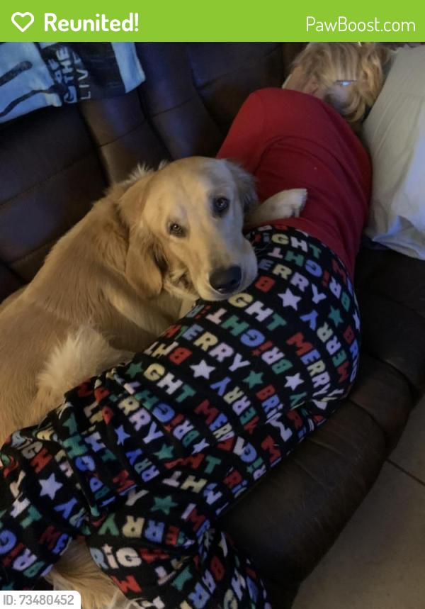 Reunited Male Dog last seen Anthony St, Hernando, FL 34442