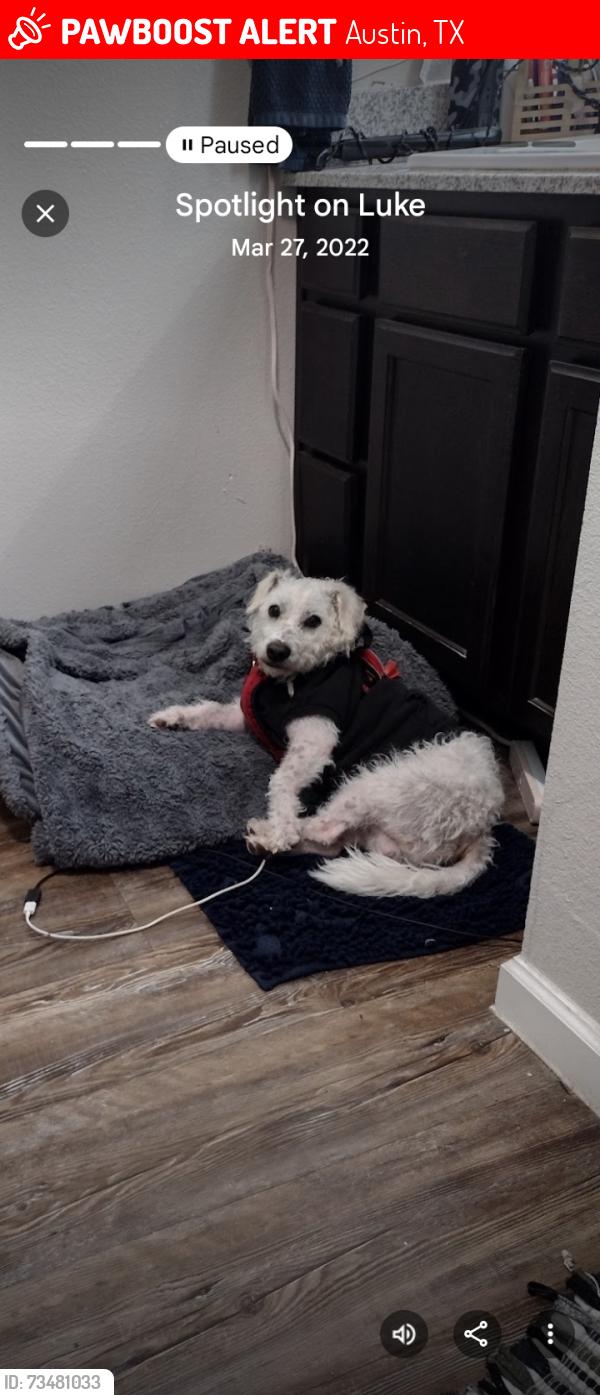 Lost Male Dog last seen 51st and Cameron rd, Austin, TX 78723
