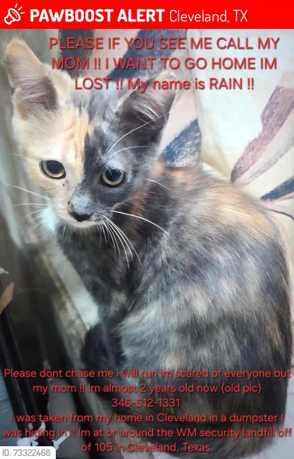 Lost Female Cat last seen Near near the Waist Management, Cleveland, TX 77327