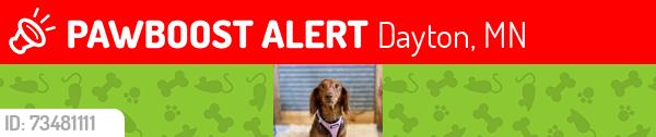 Lost Male Dog last seen Near Evergreen Cir N, Dayton, MN 55327 Dayton, MN 55327, Dayton, MN 55327