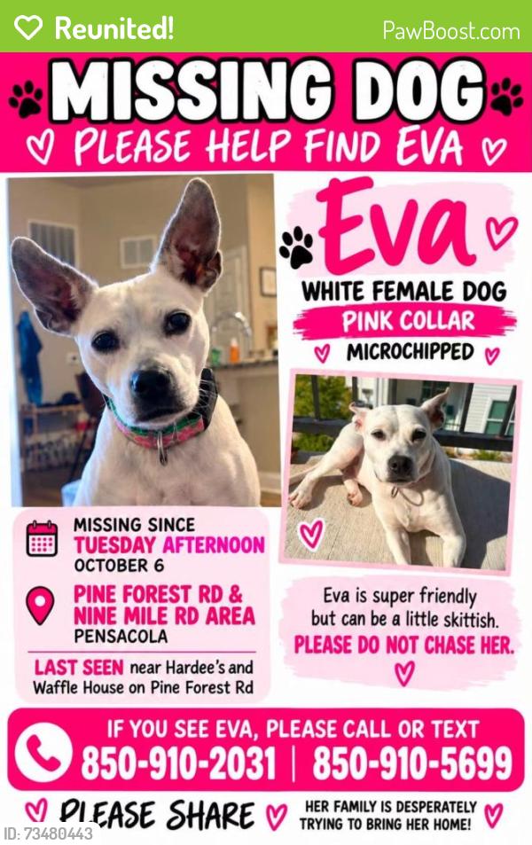 Reunited Female Dog last seen Wilde Lake Blvd, Northwest Pensacola, FL 32526