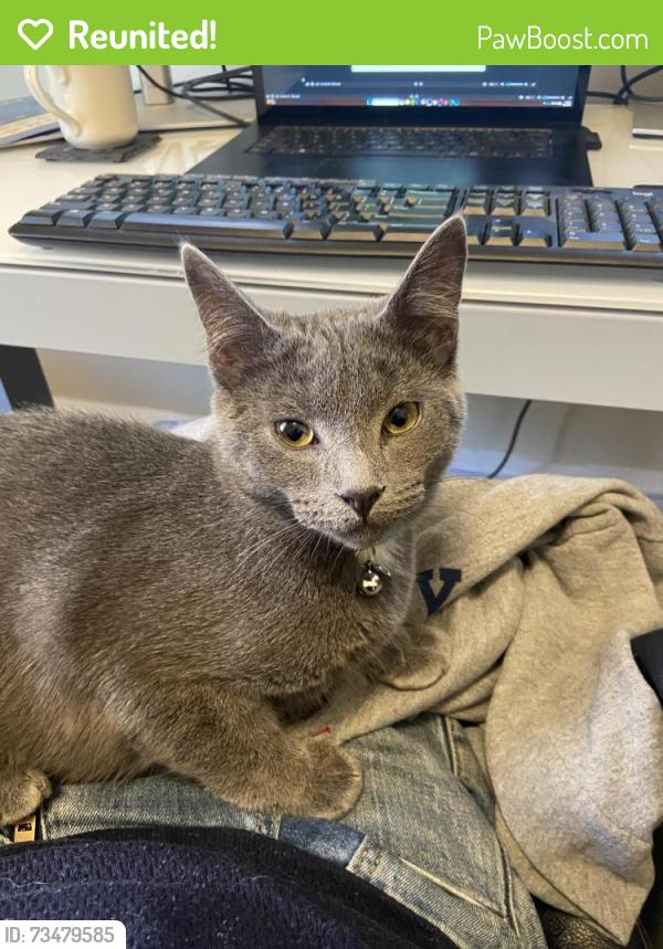 Reunited Male Cat last seen Near S Cleveland St and Porter St, Philadelphia, PA 19145