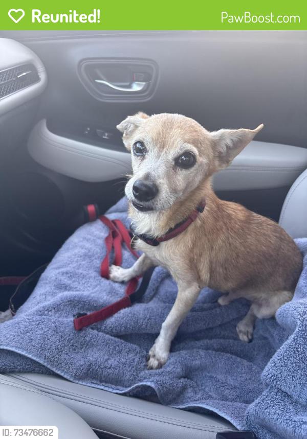 Reunited Male Dog last seen Cedar Breeze Court, Cypress, TX 77433