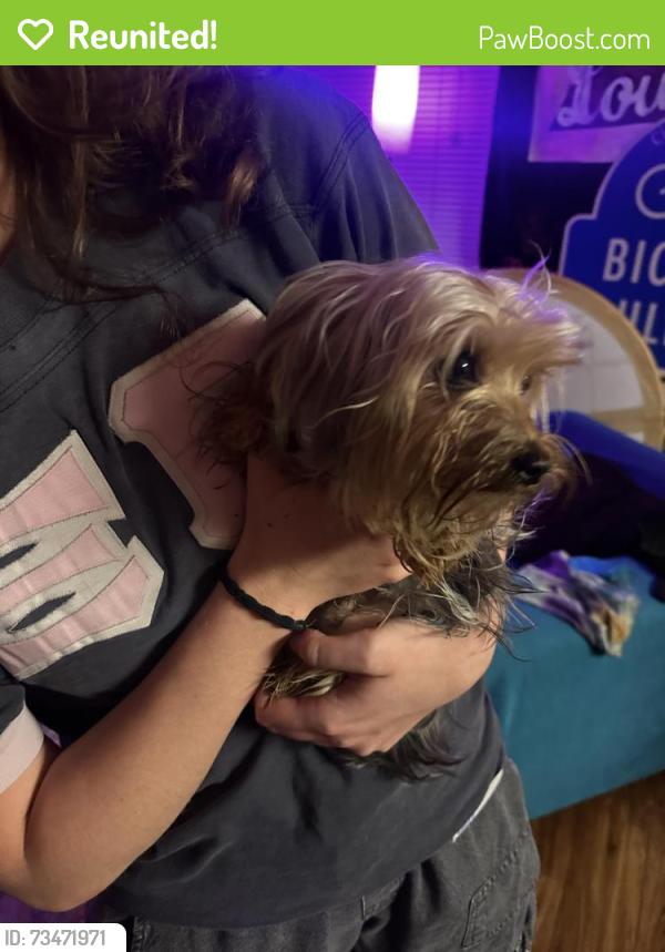 Reunited Male Dog last seen Austin College, Sherman, TX 75090