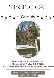 Reunited Male Cat last seen Davenport and 87th, Blaine, MN 55449