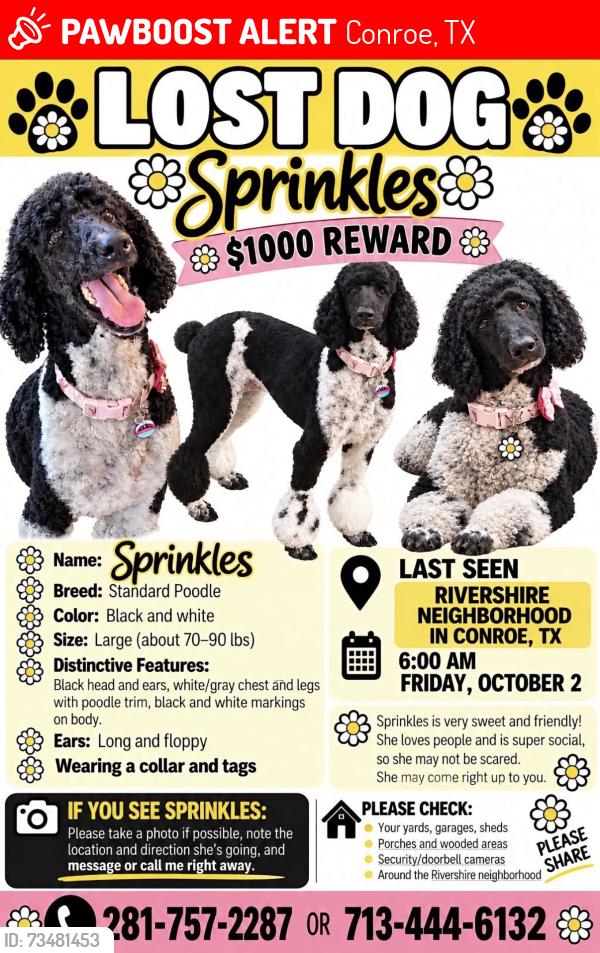 Lost Female Dog last seen Rivershire Neighbourhood, Conroe, TX 77301