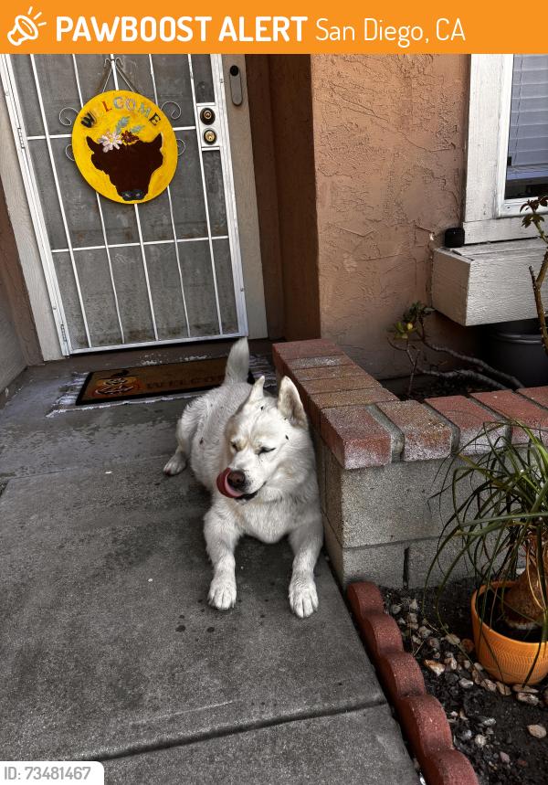 Found/Stray Unknown Dog last seen Woodshawn dr, San Diego, CA 92114