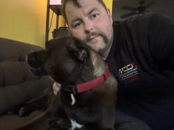 Reunited Female Dog last seen Cedarbrook ln and Silverbirch ln, South Laurel, MD 20708