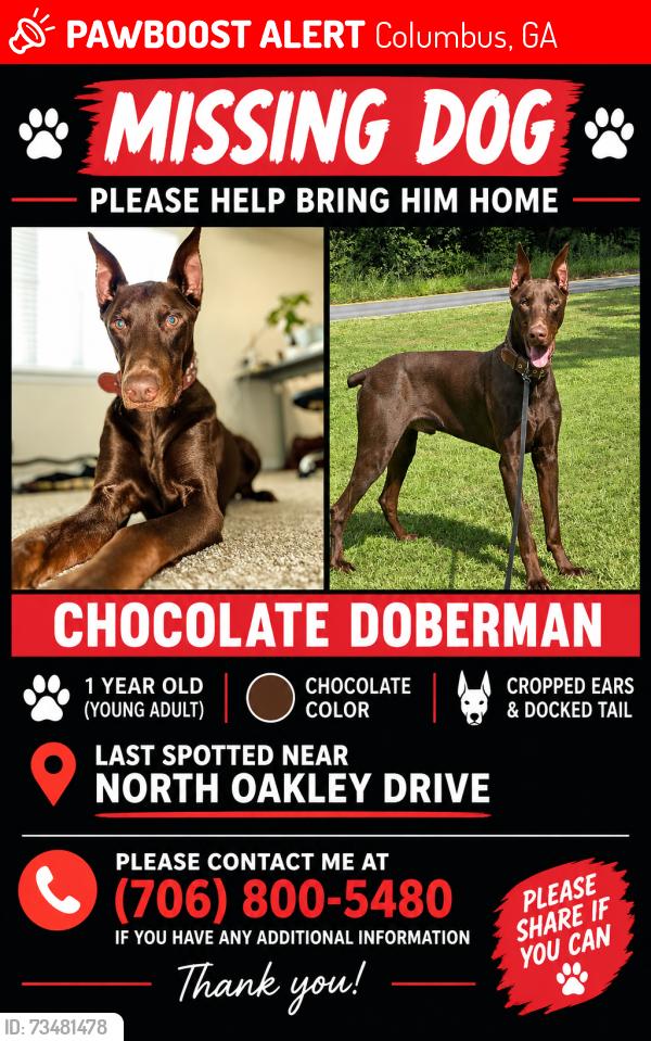Lost Male Dog last seen Near St. Mary’s Rd, Columbus, GA 31906