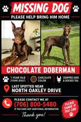 Lost Male Dog last seen Near St. Mary’s Rd, Columbus, GA 31906