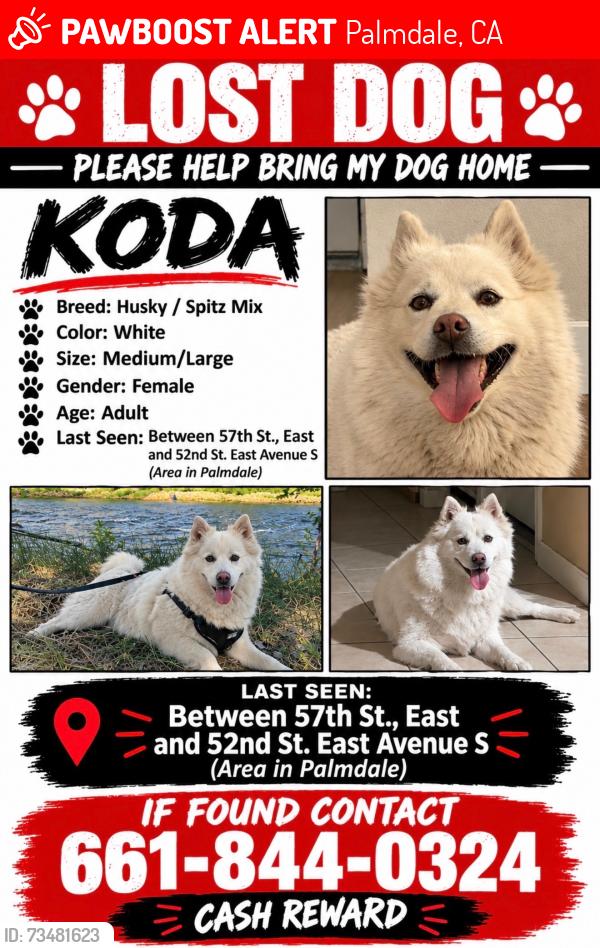 Lost Female Dog last seen Yellen park, Palmdale, CA 93552
