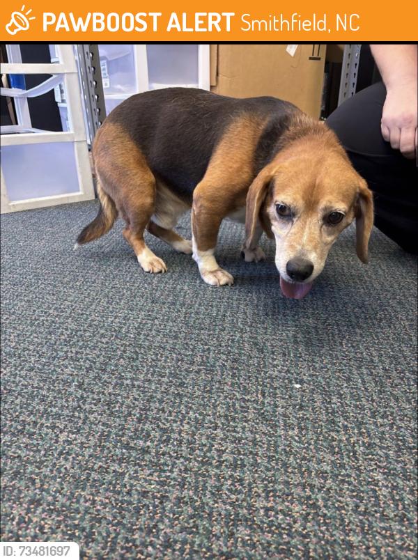 Found/Stray Male Dog last seen Johnston Health UNC hosp, Smithfield, NC 27577