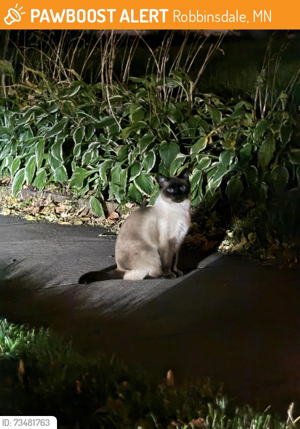Found/Stray Unknown Cat last seen Near 42nd and Beard Ave, a few streets over from Sanborn Park, Robbinsdale, MN 55422