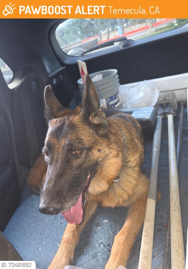 Found/Stray Unknown Dog last seen temecula via vaquero carancho road, Temecula, CA 92590