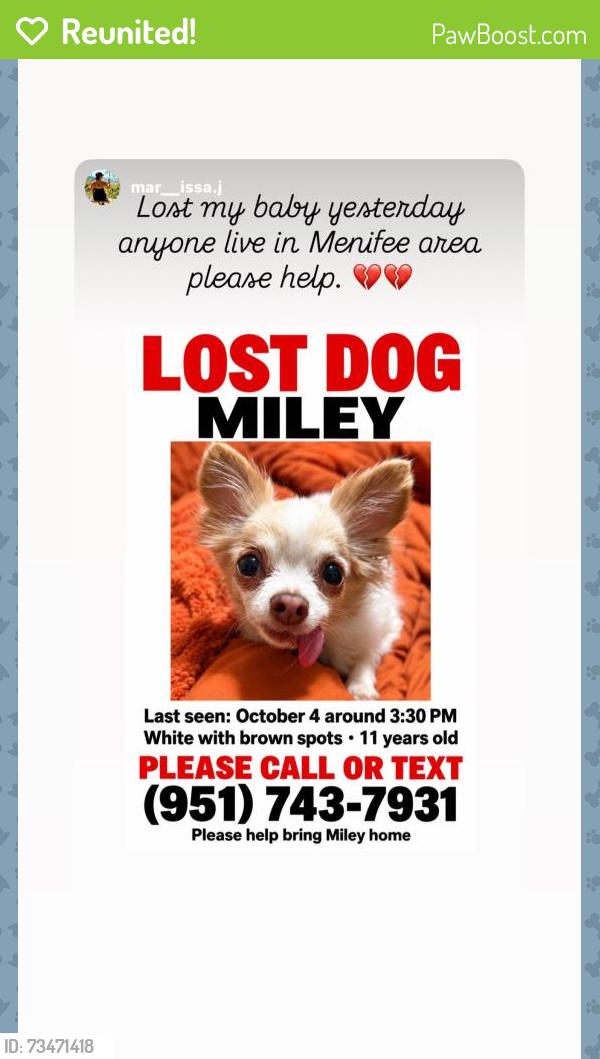 Reunited Female Dog last seen Legado community between McCall and Ethenac, Menifee, CA 92586