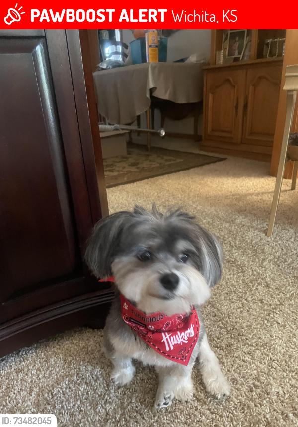 Lost Male Dog last seen Near block and south Estelle/Mottis, Wichita, KS 67211