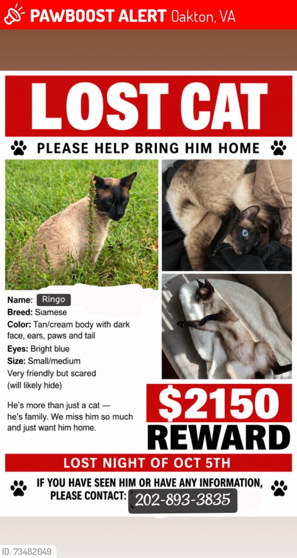 Lost Male Cat last seen Oakton elementary school, Oakton, VA 22124
