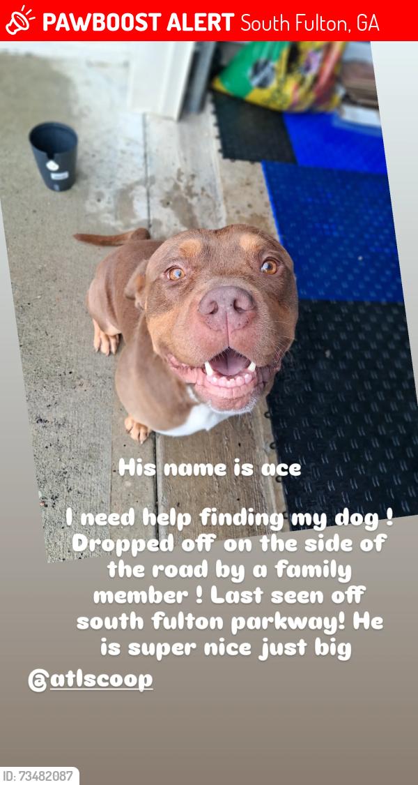 Lost Male Dog last seen South fulton and Bentley, South Fulton, GA 30349