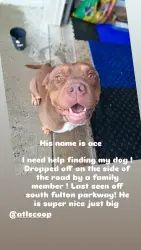 Lost Male Dog last seen South fulton and Bentley, South Fulton, GA 30349
