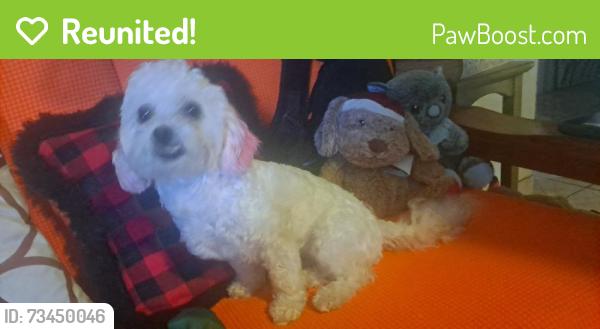 Reunited Female Dog last seen Home ave and Fairmont, San Diego, CA 92105