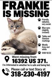 Lost Male Cat last seen Highway 371 and Doc Steed Road, Minden, LA 71055